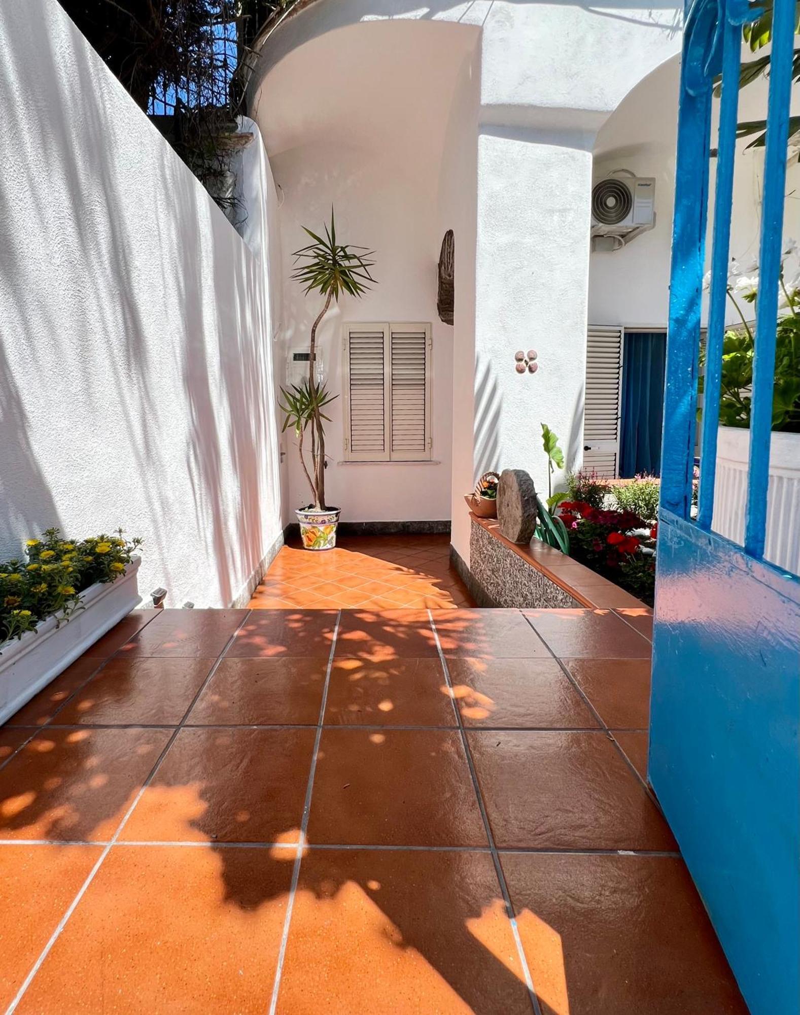 Villino Annamaria Bed & Breakfast Ischia Exterior photo